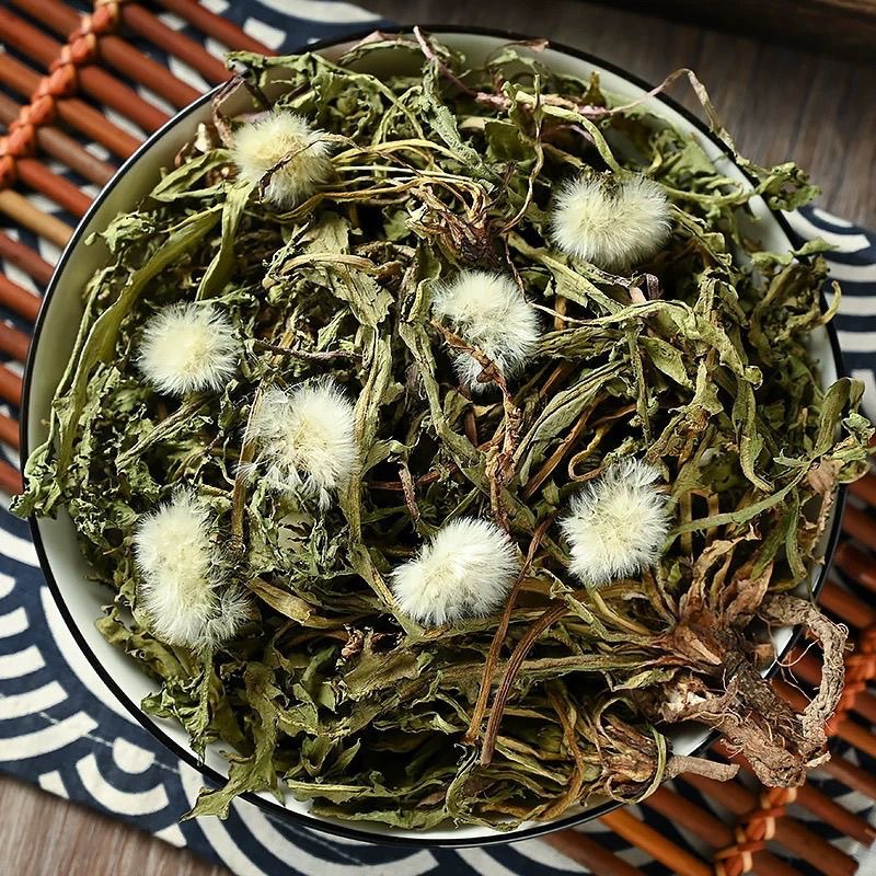 Dandelion: The Underrated Golden Weed and Nature's Treasure