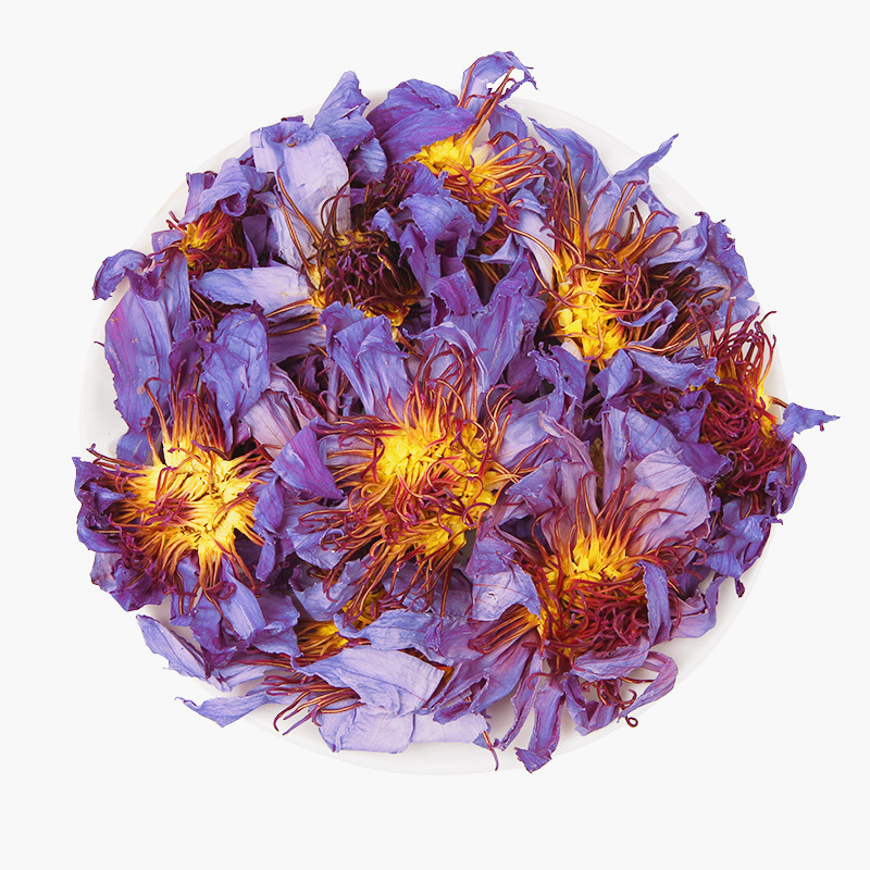 The Blue Lotus: A Thousand Years of Poetic Beauty on Water