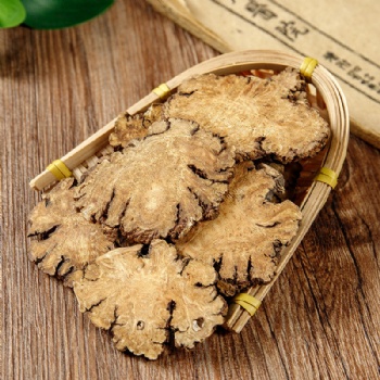 Chuanxiong Ligusticum chuanxiong