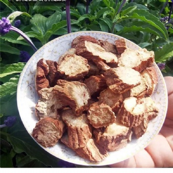 Danshen Salvia Root