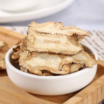 Dong Quai Angelica sinensis