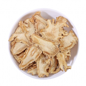 Dong Quai Angelica sinensis