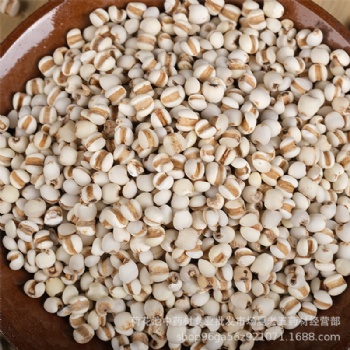 Yi YiRen Job's Tears