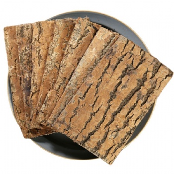 Du Zhong Chinese Eucommia