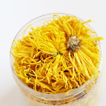 Jin Se Si Chou Jv Hua Golden Silk Chrysanthemum