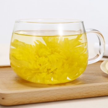 Jin Se Si Chou Jv Hua Golden Silk Chrysanthemum