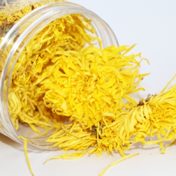 Jin Se Si Chou Jv Hua Golden Silk Chrysanthemum