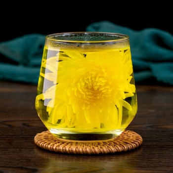 Jin Se Si Chou Jv Hua Golden Silk Chrysanthemum