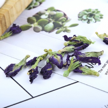 Die Dou Hua Dried Blue Butterfly Pea Flower