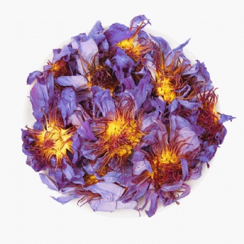 Lan Lian Hua  Blue Lotus Flower