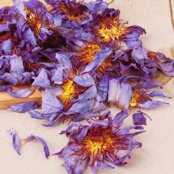 Lan Lian Hua  Blue Lotus Flower