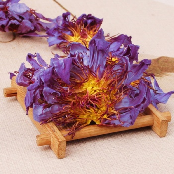 Lan Lian Hua  Blue Lotus Flower