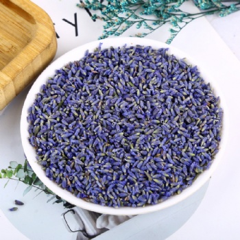 Xun Yi Cao Lavender