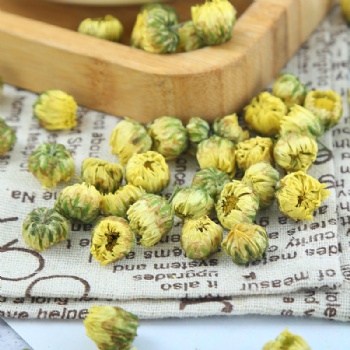 Tai Jv Churysanthemum Buds