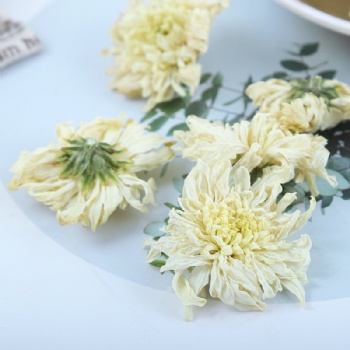 Huang Shan Qi Yue Jv Huang Shan July Chrysanthemum