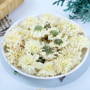 Huang Shan Qi Yue Jv Huang Shan July Chrysanthemum