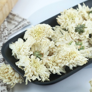 Huang Shan Qi Yue Jv Huang Shan July Chrysanthemum