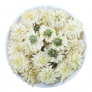 Huang Shan Qi Yue Jv Huang Shan July Chrysanthemum
