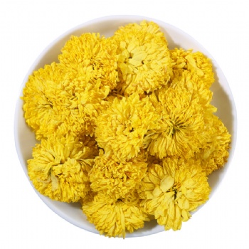 Wu Yuan Huang Jv Wu Yuan Imperial Crysanthemum