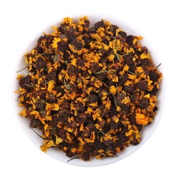 Xue Jv Snow Chrysanthemum