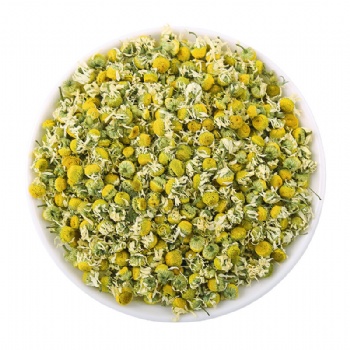Yang Gan Jv Chamomile