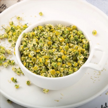 Yang Gan Jv Chamomile