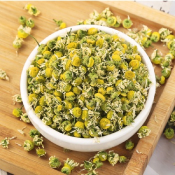 Yang Gan Jv Chamomile