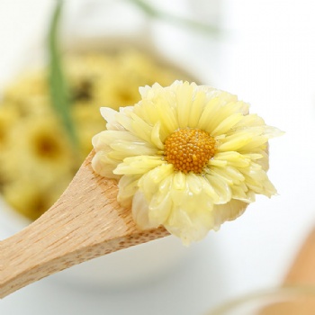 Hang Bai Jv Flos Chrysanthemum