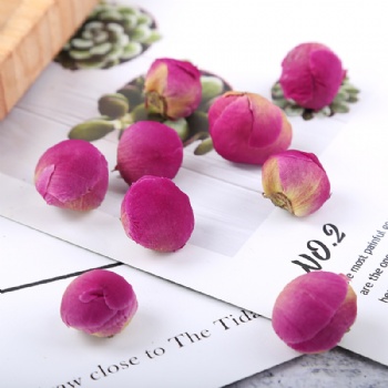 Mu Dan Hua Peony