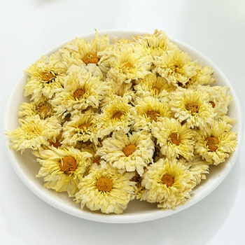 Hang Bai Jv Flos Chrysanthemum