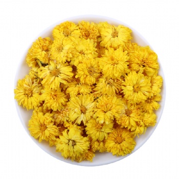 Huang Jv Hua Chrysanthemum