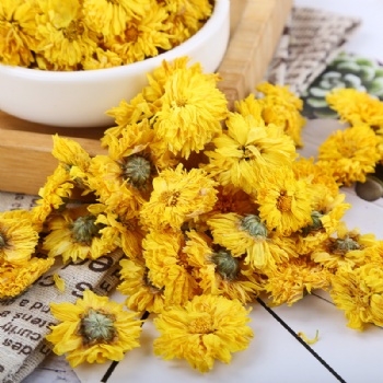 Huang Jv Hua Chrysanthemum