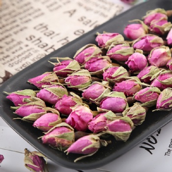 Fa Lan Xi Mei Gui French Rose