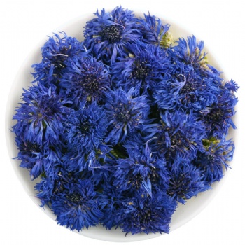 Shi Che Jv Carnation