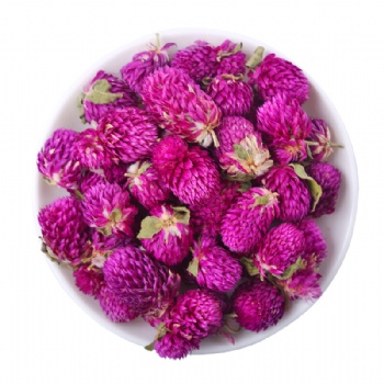 Qian Ri Hong Globe Amaranth