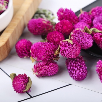 Qian Ri Hong Globe Amaranth