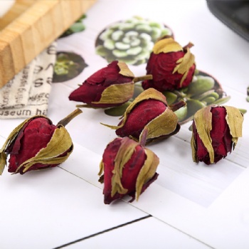 Yue Ji Chinese Rose