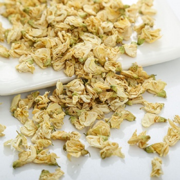 Bai Bian Dou Hua White Lentil Flower