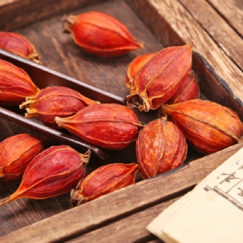 Zhi Zi Guo Gan Dried Gardenia Fruit