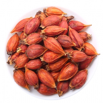 Zhi Zi Guo Gan Dried Gardenia Fruit