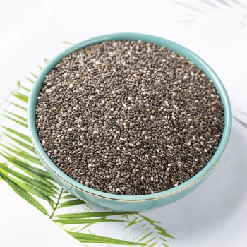 Qi Ya Zi Chia Seed
