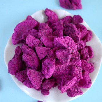 Huo Long Guo Dried Dragon Fruit