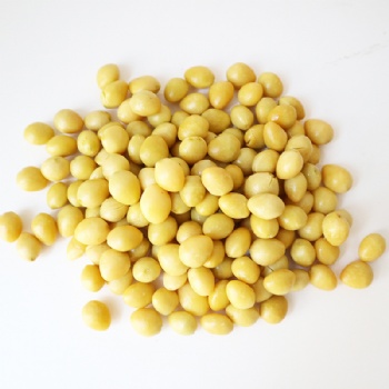 Yin Xing Guo Dried Ginkgo Biloba
