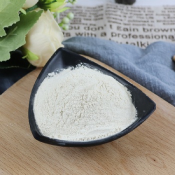 wholesale Garlic powder dehydrated garlic powder barbecue seasoning garlic powder