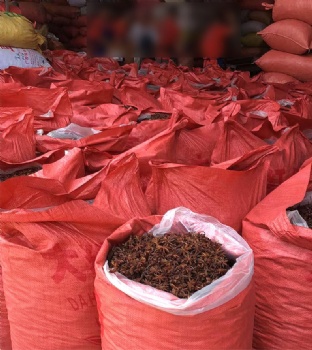 Wholesale complete assortment of star anise spices  all dried and without sulfur large-sized dried fennel