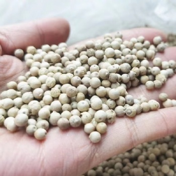 Wholesale white pepper