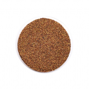 Tu Si Zi Cuscuta Chinensis Lam