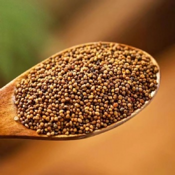 Tu Si Zi Cuscuta Chinensis Lam