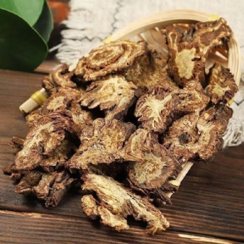 Qiang Huo Notopterygium Root