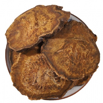 Da Huang Rheum Officinale